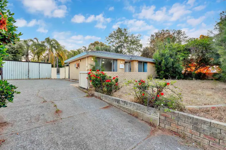Main view of Homely house listing, 20 Adelina Court, Camillo WA 6111
