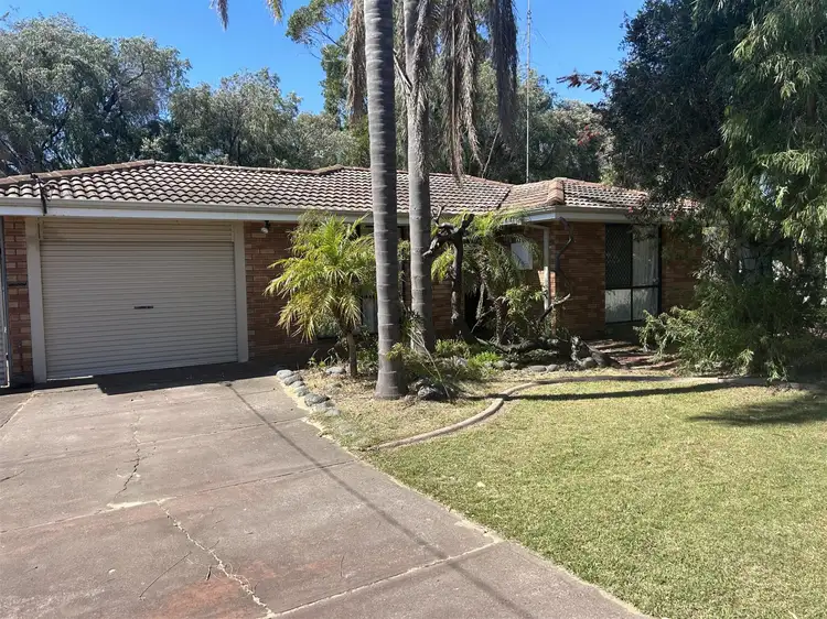Main view of Homely house listing, 35 Linville Street, Falcon WA 6210