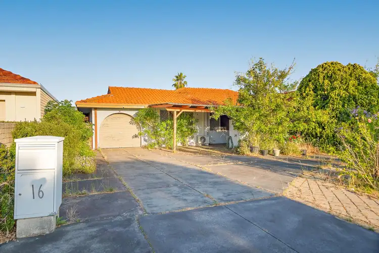 Second view of Homely house listing, 16 Tillinga Street, Balcatta WA 6021