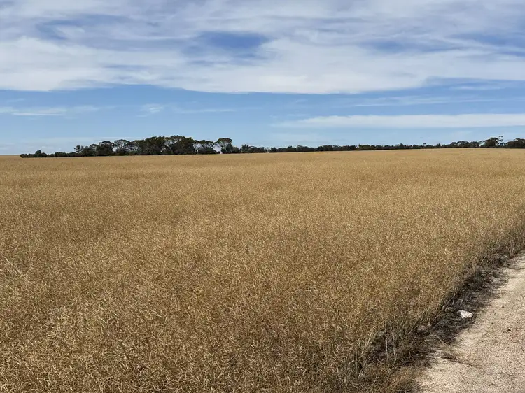 Simper  Road, Badgebup WA 6317