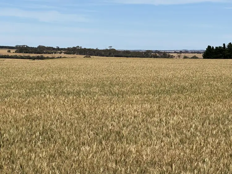 Second view of Homely rural property listing, Simper Road, Badgebup WA 6317