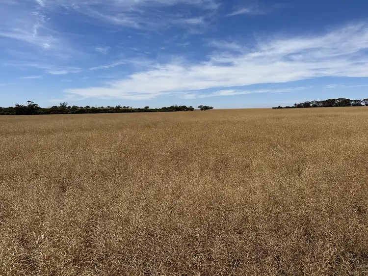Fourth view of Homely rural property listing, Simper Road, Badgebup WA 6317