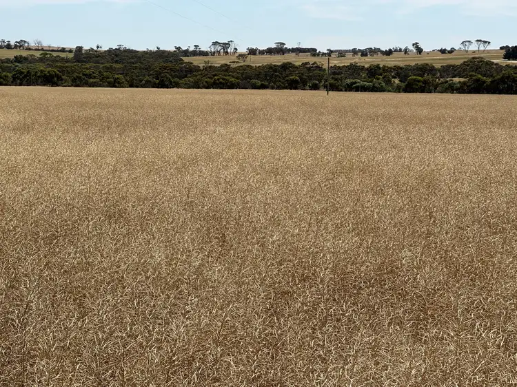 Sixth view of Homely rural property listing, Simper Road, Badgebup WA 6317