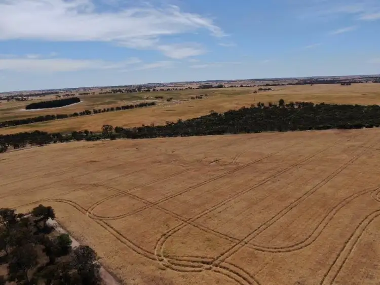 Seventh view of Homely rural property listing, Simper Road, Badgebup WA 6317