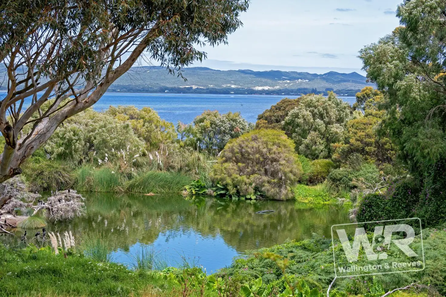 Main view of Homely land listing, 29 Festing Street, Albany WA 6330