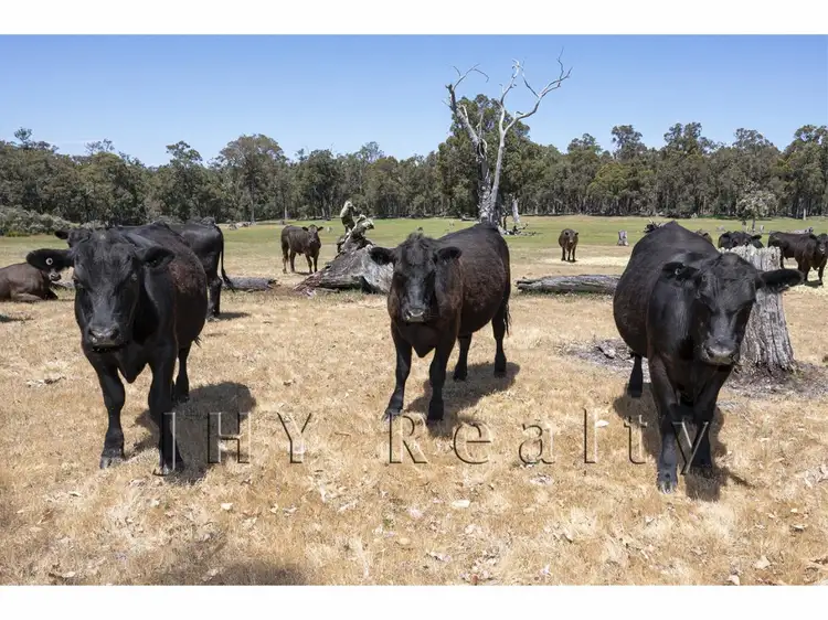 Seventh view of Homely land listing, Lot 1, Longbottom Road, Nannup WA 6275