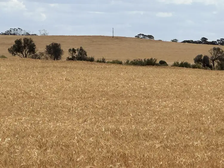 Nyabing-Kukerin Road, Nyabing WA 6341