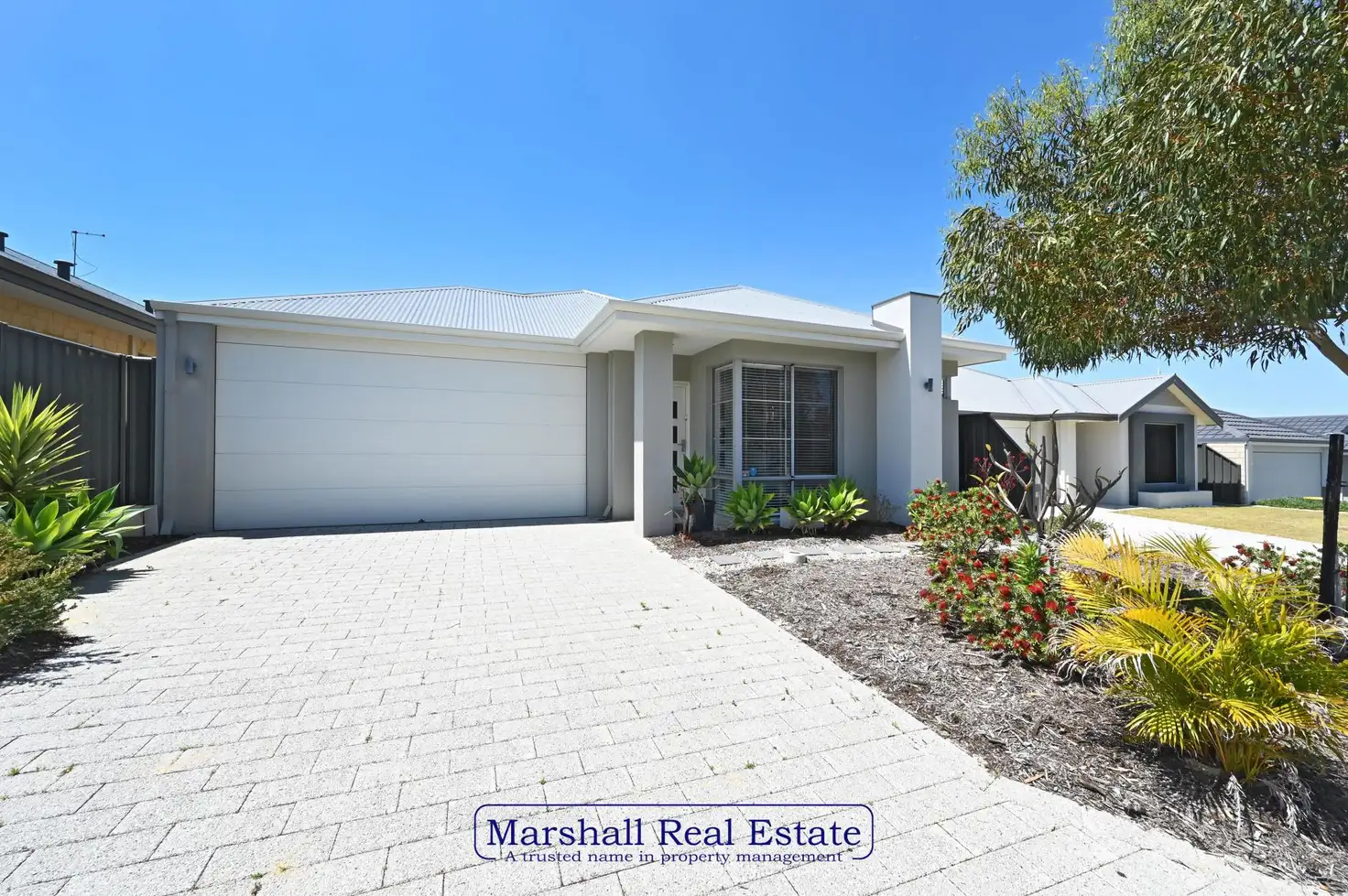 Main view of Homely house listing, 14 Tropicbird Drive, Banksia Grove WA 6031