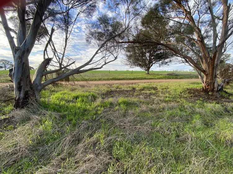 Fifth view of Homely land listing, Lot 236, Hassell Road, Moojebing WA 6317