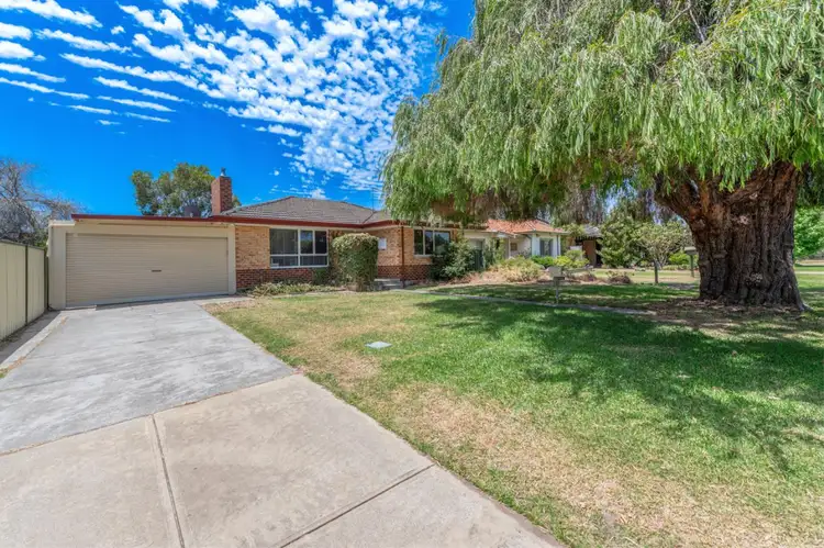 Main view of Homely house listing, 23 Williamson Avenue, Belmont WA 6104