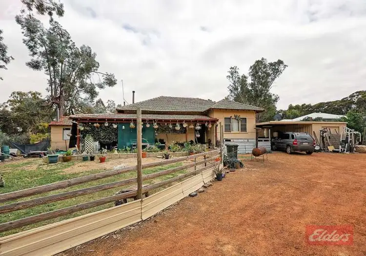 Main view of Homely house listing, 63 Havelock Street, Narrogin WA 6312