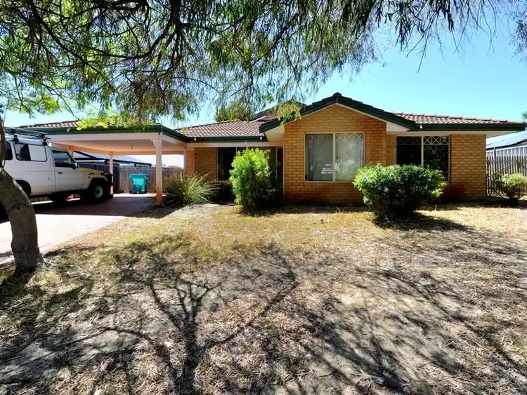 Second view of Homely house listing, 11 Brougham Crescent, Orelia WA 6167