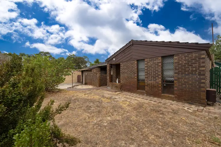 Fourth view of Homely house listing, 3 Maguire Avenue, Beechboro WA 6063