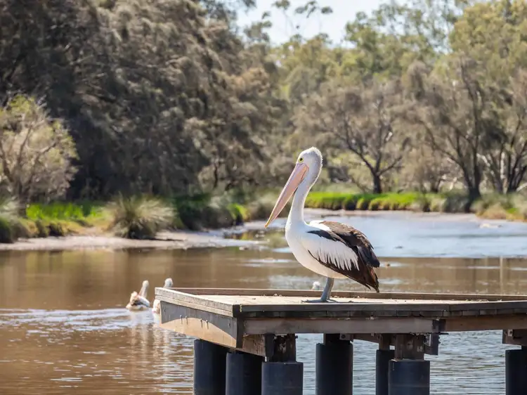 Second view of Homely land listing, Lot 3, 117 River View Avenue, South Guildford WA 6055