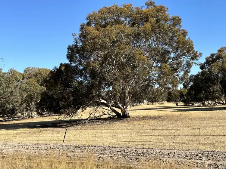 Third view of Homely land listing, Lot 135, Temby Street, Tambellup WA 6320