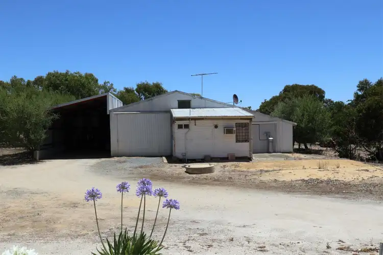 Main view of Homely rural property listing, 52 Lefroy Street, Narrogin WA 6312