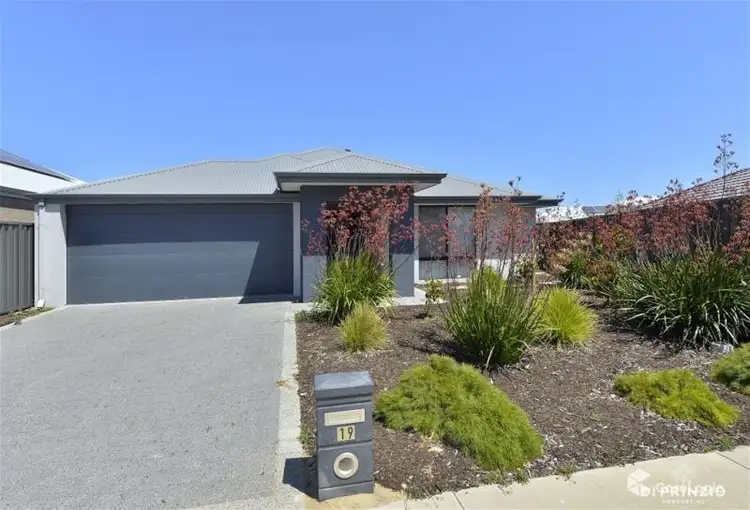Main view of Homely house listing, 19 Turnstone Crescent, Erskine WA 6210