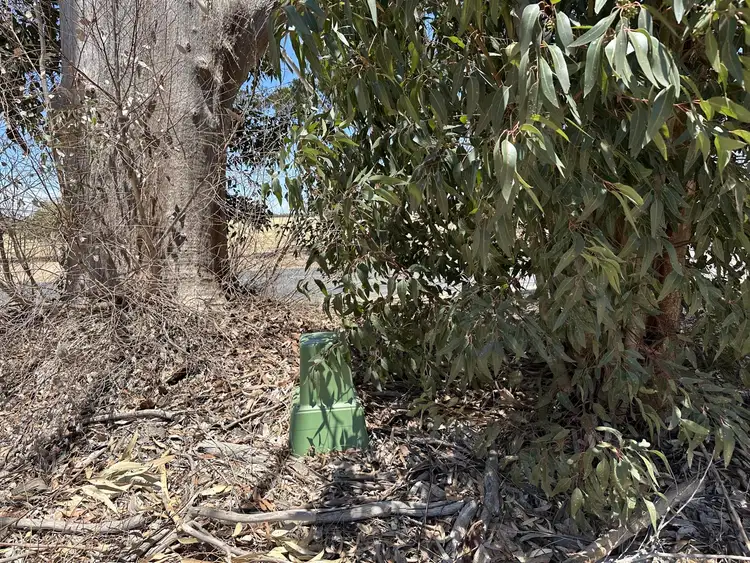 Seventh view of Homely land listing, Lot 4, 31 Moojebing Road, Katanning WA 6317