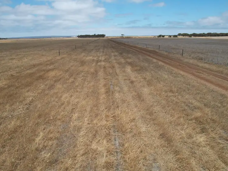 Seventh view of Homely rural property listing, 2906 Swamp Road, Bremer Bay WA 6338