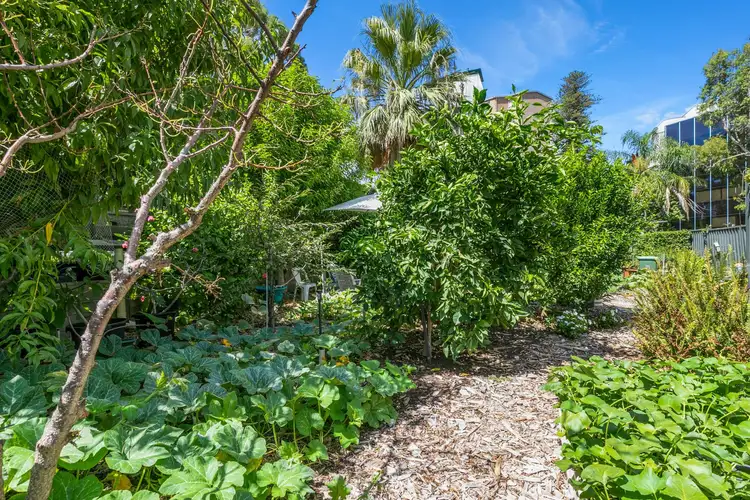 Fourth view of Homely apartment listing, 23/38 Kings Park Road, West Perth WA 6005