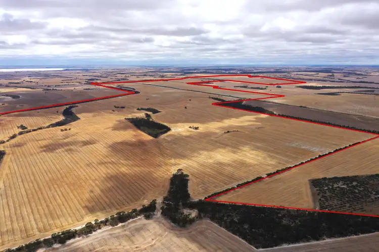 Main view of Homely rural property listing, 305 Leo Road, South Kukerin WA 6352