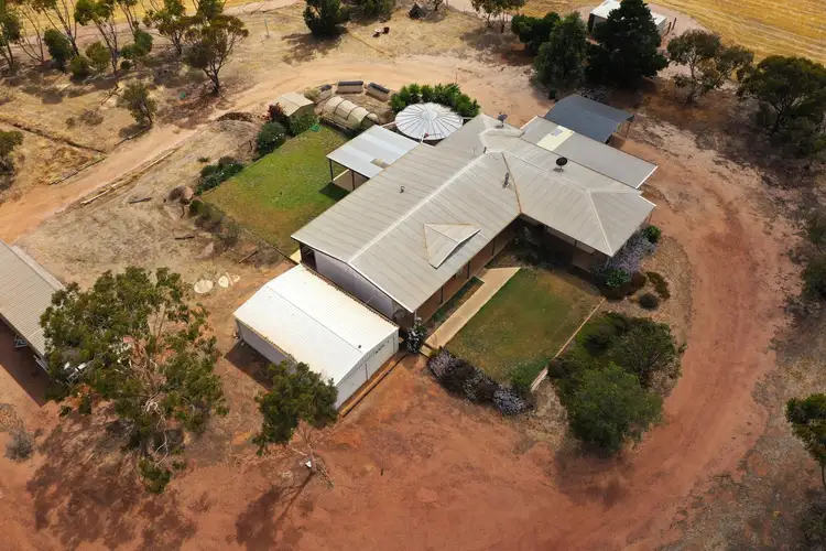 Fourth view of Homely rural property listing, 305 Leo Road, South Kukerin WA 6352