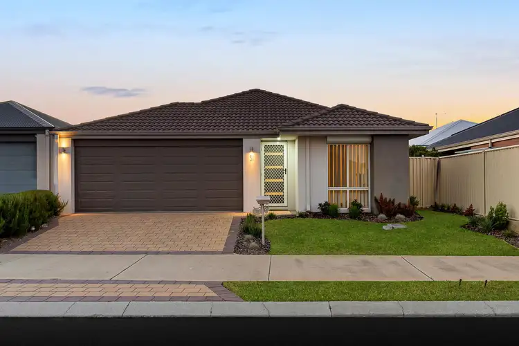 31 Pipistrelle Avenue, Baldivis WA 6171