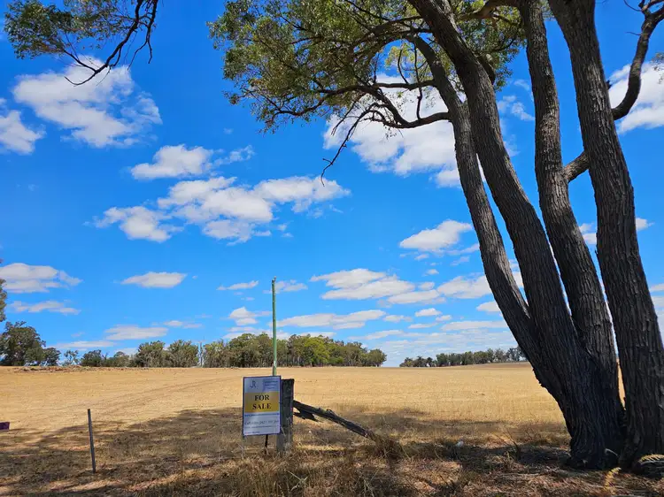 Main view of Homely rural property listing, 7 Maltrup Road, Dinninup WA 6244