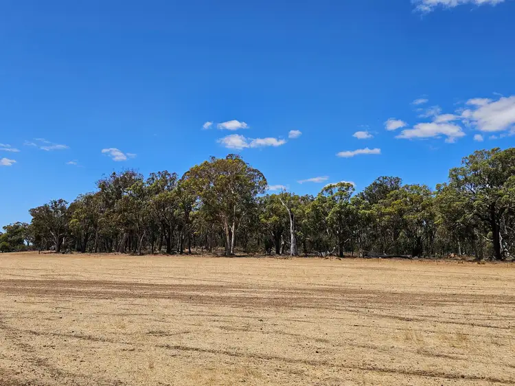 Fourth view of Homely rural property listing, 7 Maltrup Road, Dinninup WA 6244