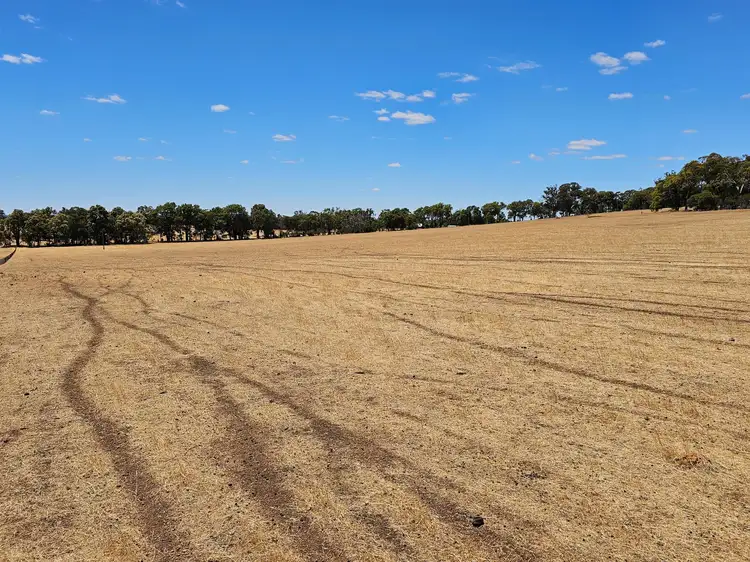 Seventh view of Homely rural property listing, 7 Maltrup Road, Dinninup WA 6244