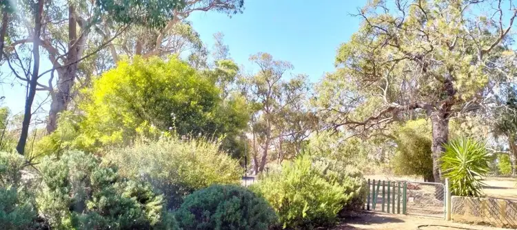 Third view of Homely house listing, 4 Councel Close, Herron WA 6211