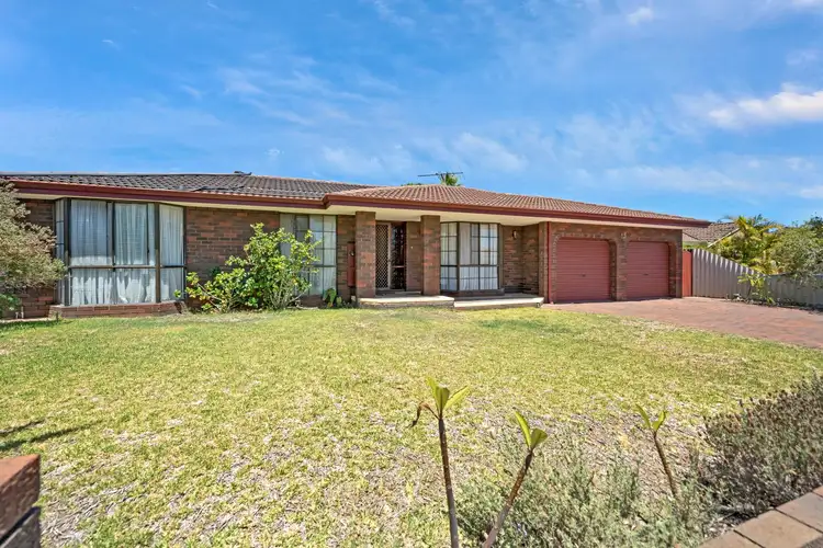 16 Landrail Road, Stirling WA 6021