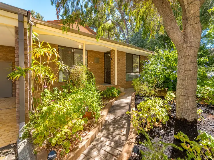 Main view of Homely unit listing, 8/106 Williams Street, Gooseberry Hill WA 6076