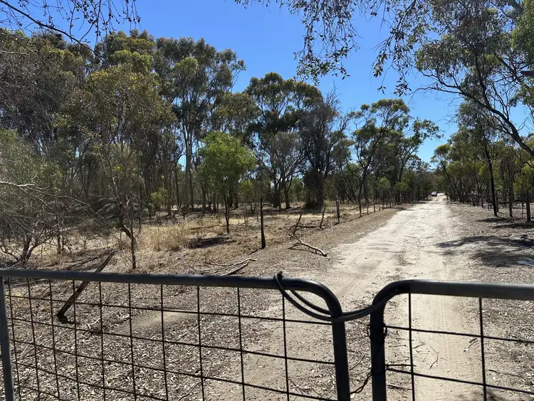 Second view of Homely house listing, 250 Forrest Hill Road, Katanning WA 6317