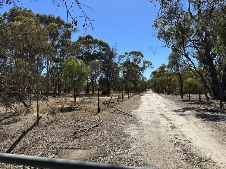 Third view of Homely house listing, 250 Forrest Hill Road, Katanning WA 6317