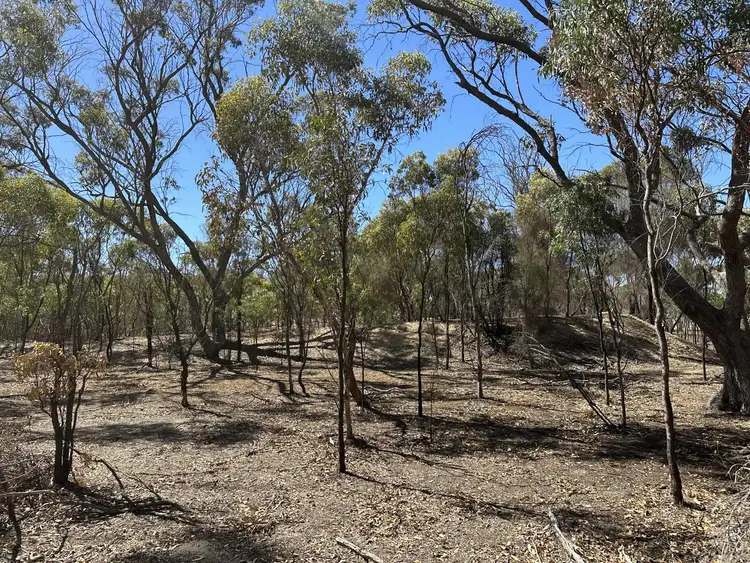 Seventh view of Homely house listing, 250 Forrest Hill Road, Katanning WA 6317