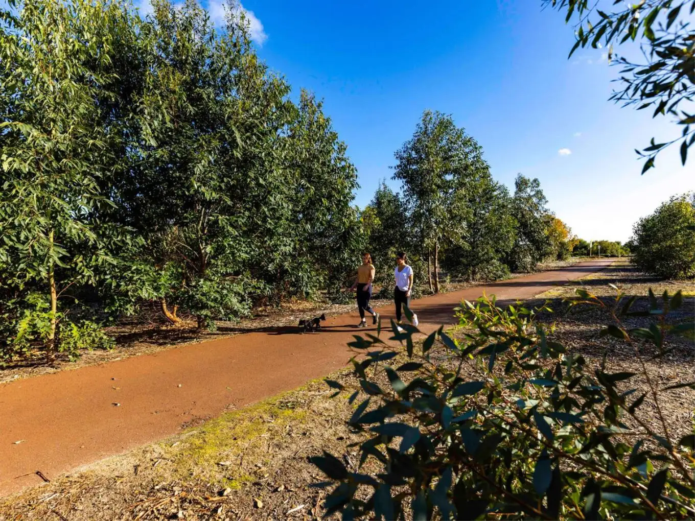 Main view of Homely land listing, Lot 719, Threefin Circuit, Vasse WA 6280
