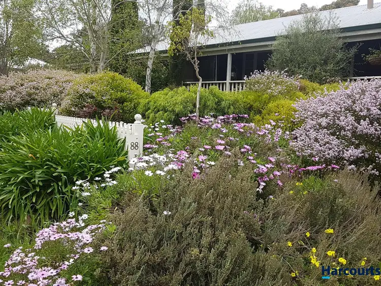 Main view of Homely house listing, 88 Telluride Street, Greenbushes WA 6254