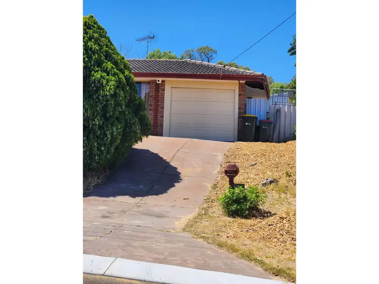 Main view of Homely house listing, 4 Mandarin Court, Craigie WA 6025