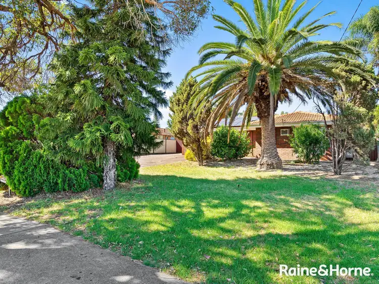 21 Haffner Court, Maddington WA 6109