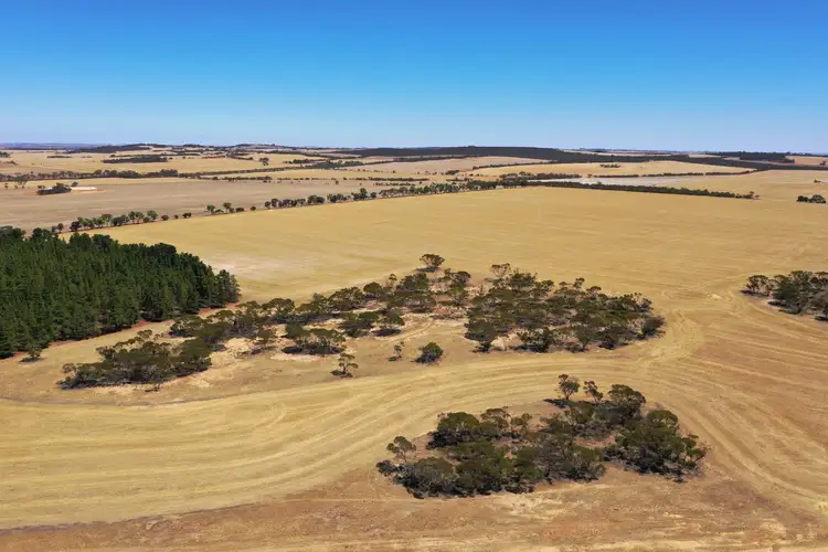 Main view of Homely rural property listing, Rifle Range Road, Kukerin WA 6352