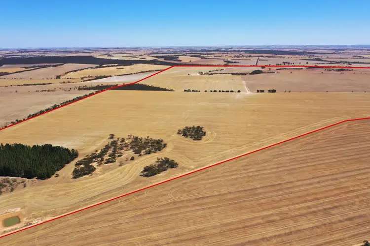 Fifth view of Homely rural property listing, Rifle Range Road, Kukerin WA 6352