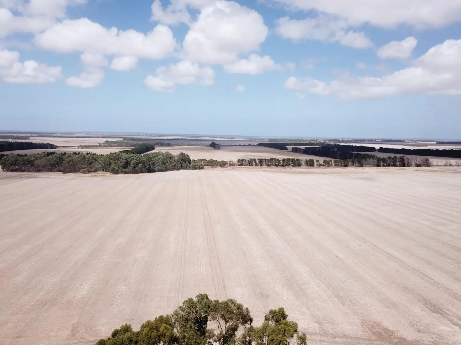 Main view of Homely rural property listing, 372 Coomalbidgup Road, Coomalbidgup WA 6450