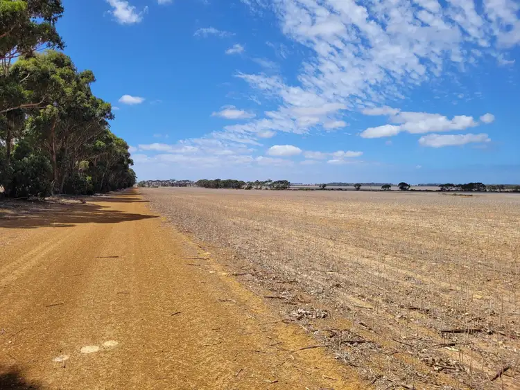 Second view of Homely rural property listing, 372 Coomalbidgup Road, Coomalbidgup WA 6450