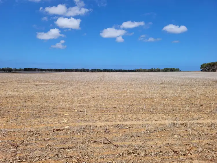 Third view of Homely rural property listing, 372 Coomalbidgup Road, Coomalbidgup WA 6450