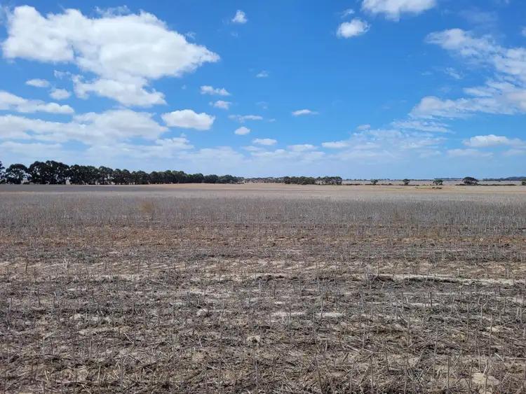 Seventh view of Homely rural property listing, 372 Coomalbidgup Road, Coomalbidgup WA 6450