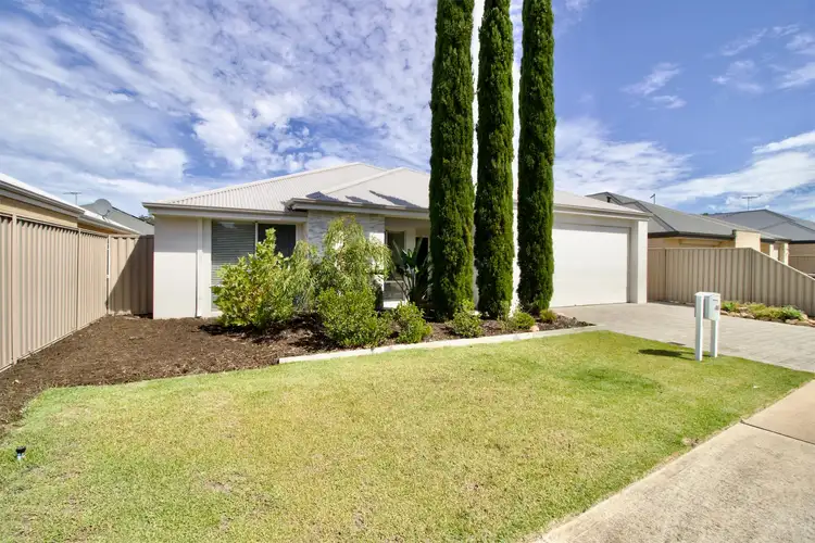 46 Campolina Avenue, Baldivis WA 6171