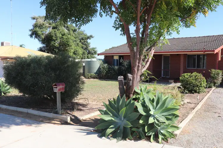 37 Johnston Street, Wongan Hills WA 6603