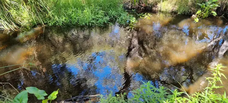 Third view of Homely house listing, 64 Robinson Street, Gingin WA 6503