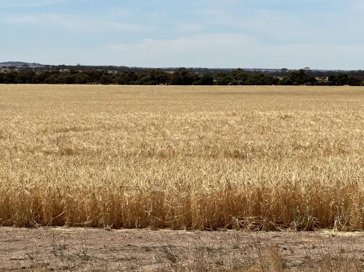 13181 Rabbit Proof Fence  Road, Nyabing WA 6341